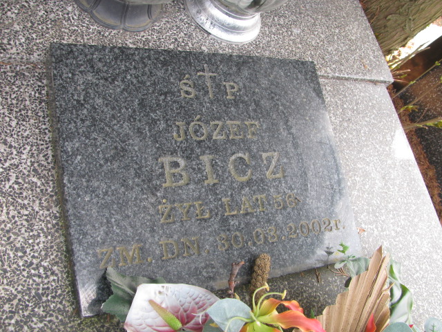 Piotr Bicz 1966 Skierniewice - Grobonet - Wyszukiwarka osób pochowanych