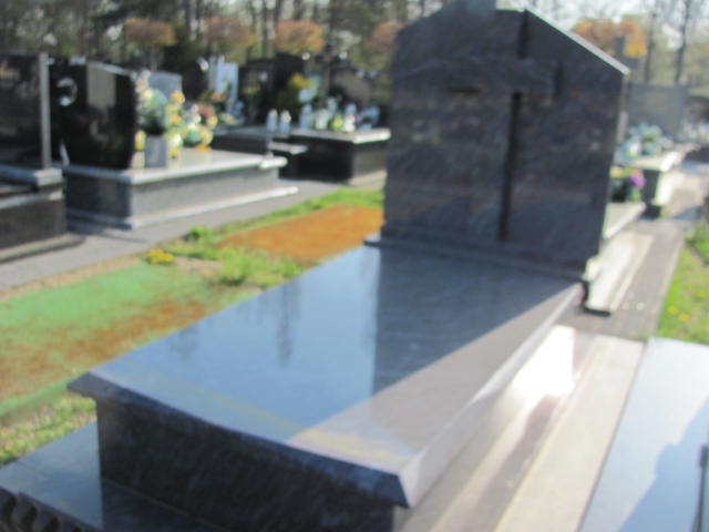  Rezerwacja Skierniewice - Grobonet - Wyszukiwarka osób pochowanych