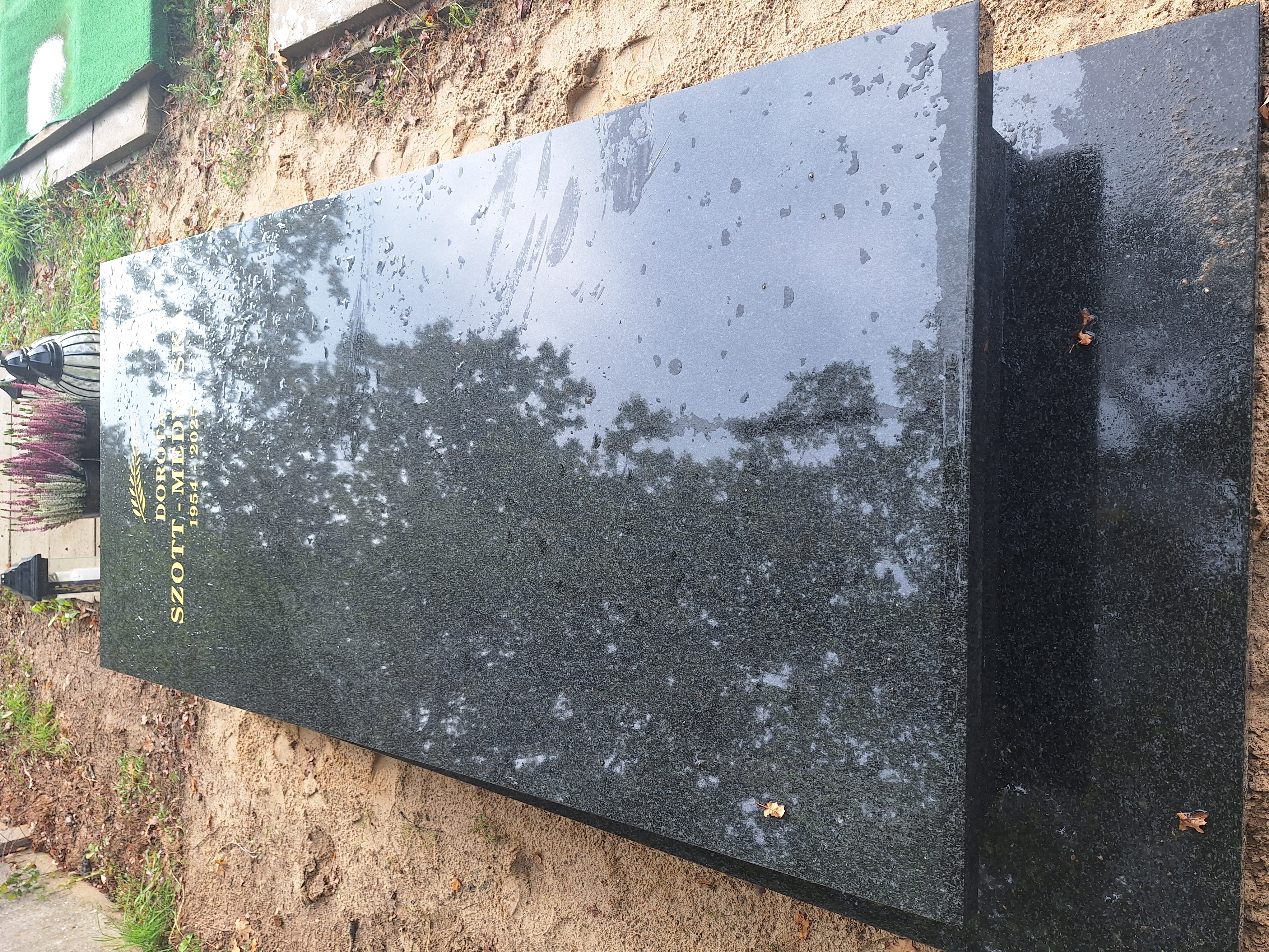 Dorota Szott-Medyńska 1954 Skierniewice - Grobonet - Wyszukiwarka osób pochowanych