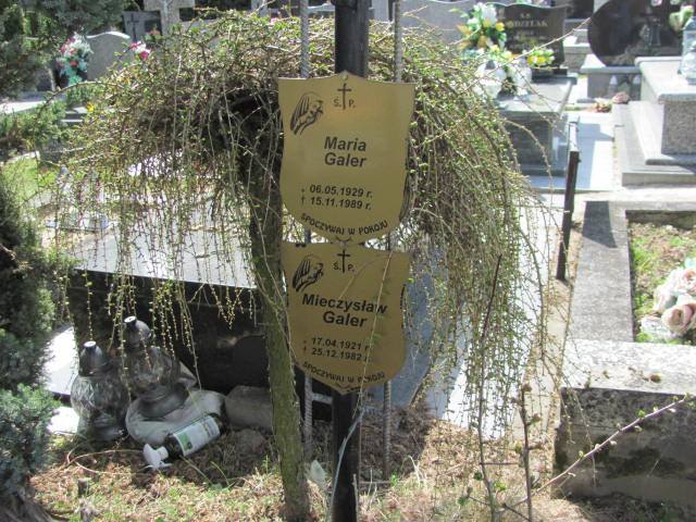 Mieczysław Galer 1921 Skierniewice - Grobonet - Wyszukiwarka osób pochowanych