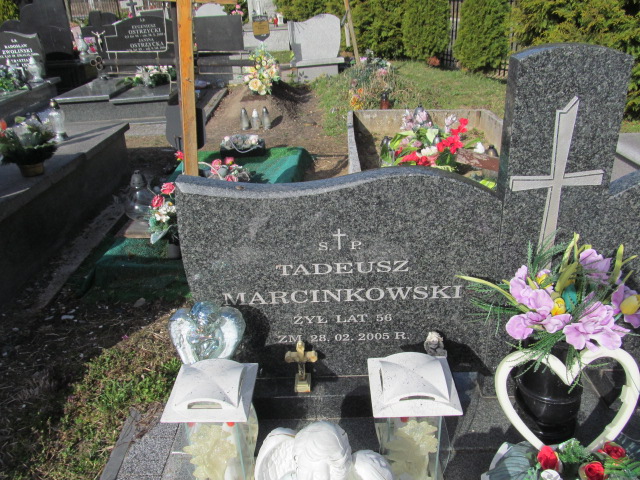 Tadeusz Marcinkowski 1949 Skierniewice - Grobonet - Wyszukiwarka osób pochowanych