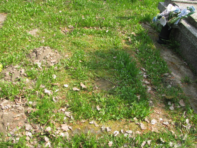  Wolne Skierniewice - Grobonet - Wyszukiwarka osób pochowanych