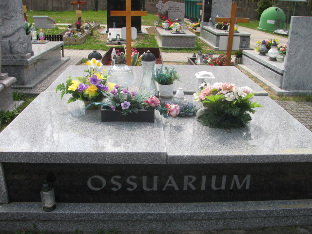  Ossuarium Skierniewice - Grobonet - Wyszukiwarka osób pochowanych