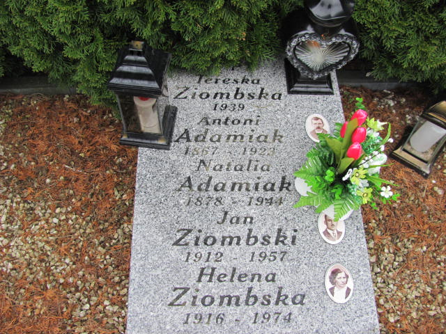 Natalia Adamiak 1877 Skierniewice - Grobonet - Wyszukiwarka osób pochowanych